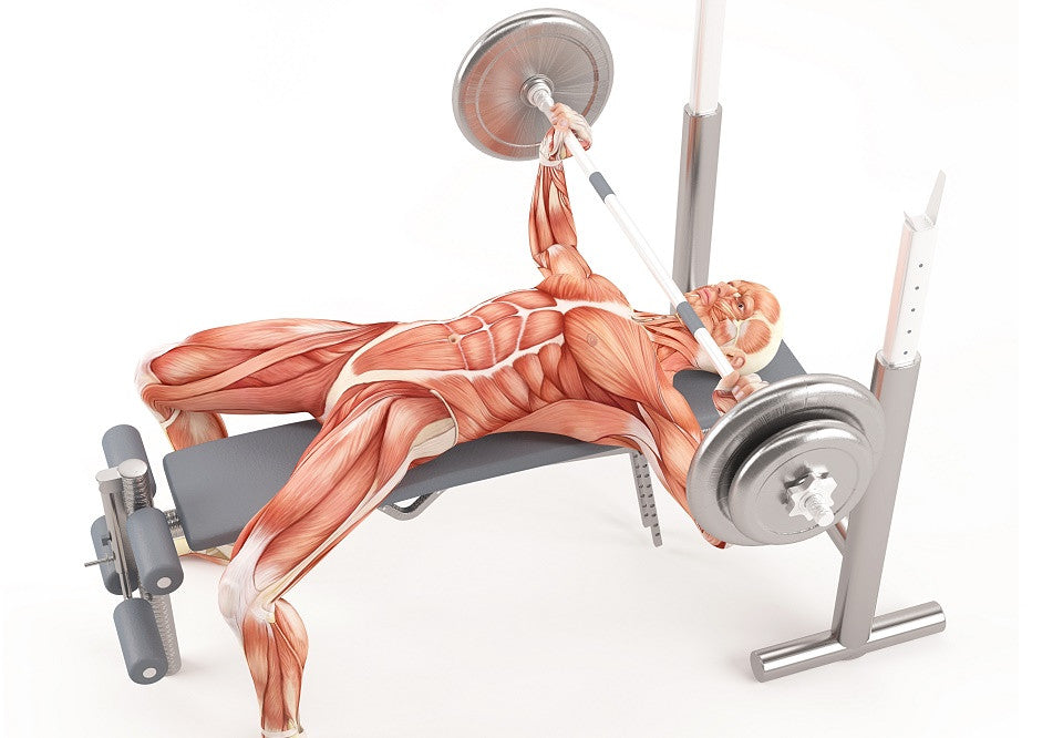 5 Workouts That Will Help You Achieve a Stronger Chest